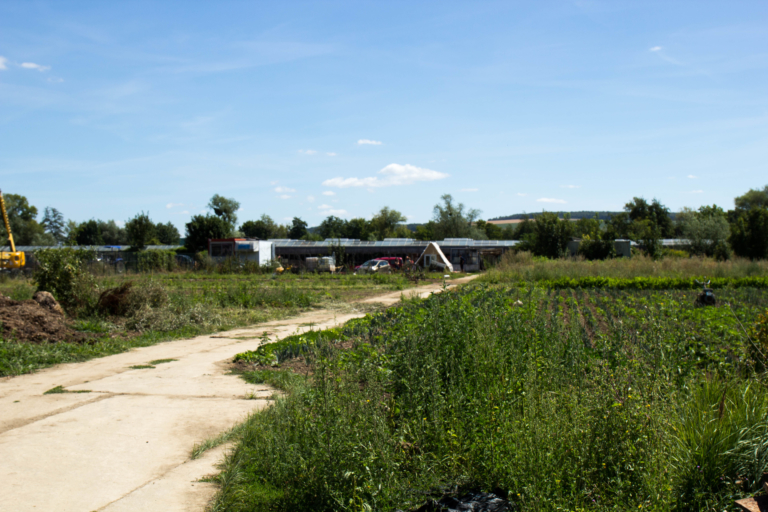  SORTIE  DE CAMPAGNE  Ecobul org